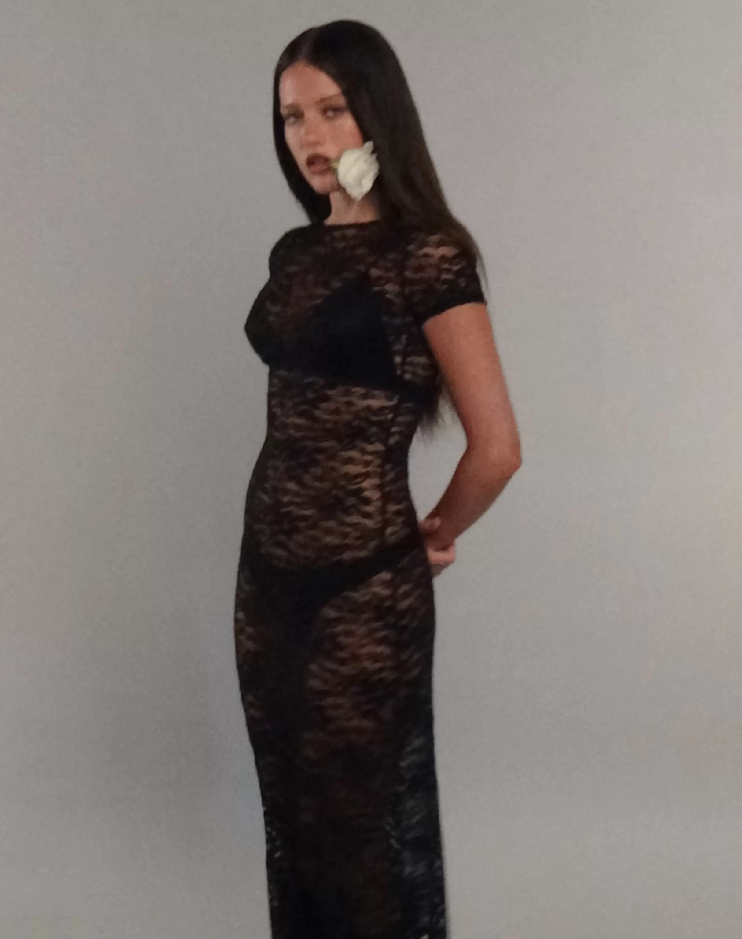 New Detrie Low Back Lace Midi Dress In Jet Black Lace PRINTED DRESSES | MIDI DRESSES